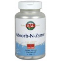 Absorb-N-Zyme Dispepsia Kal 90 Comprimidos